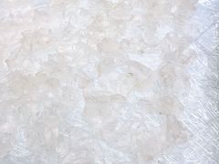 -太子园林酒家