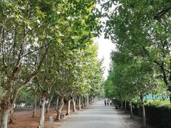 -华东政法大学(松江校区)