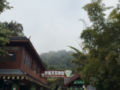 -野象谷景区