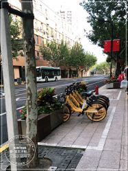 -金太子形象设计