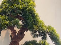 -炉忆家宴(红谷滩和昌里店)
