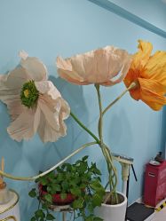 -斐尔国际皮肤管理中心