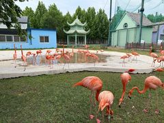 -秦皇岛野生动物园