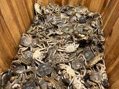 -初色海鲜自助(万丰路店)