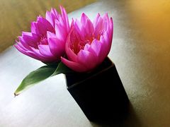 -杭州逸设计师酒店(武林广场店)