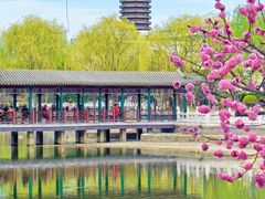 -西海子公园