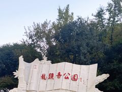 -龙头寺公园