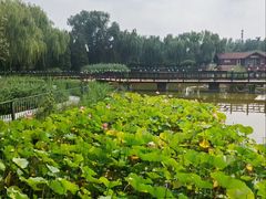 -古塔公园