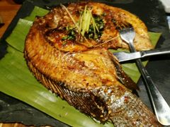 android_upload_pic-云海肴·汽锅鸡·云南菜(天津国金汇店)