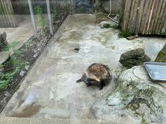 -黔灵山公园