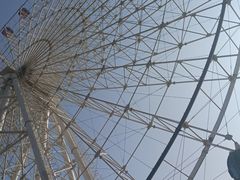 -琴岛之星摩天轮