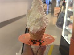 -野人先生现做冰淇淋(北京王府井东方新天地店)