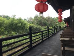 -大唐贡茶院