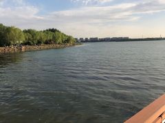-丁香湖公园