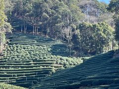 -龙井壹号·茶缘山景宴(龙井村店)