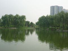 -望湖公园