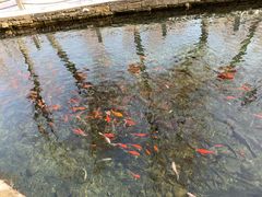 -水磨沟公园