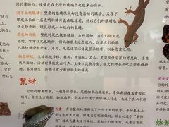 -上海大自然野生昆虫馆