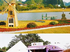 -南宁花花大世界景区