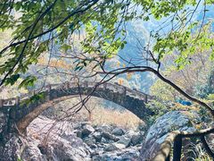 -龙湾潭国家森林公园