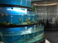 -王家渡火锅店(棕榈泉店)
