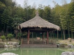 -兰亭风景区