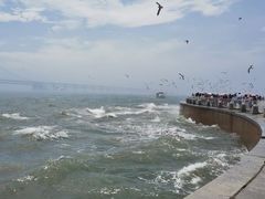 -星海广场