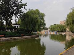 -团结湖公园