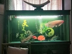 -弘善堂推拿调理