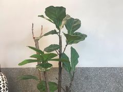 -村外有星光小食铺(长嘉汇店)