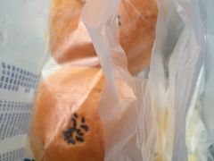 -卡吉诺动物奶油生日蛋糕(中原路店)