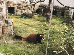 -天王寺公园