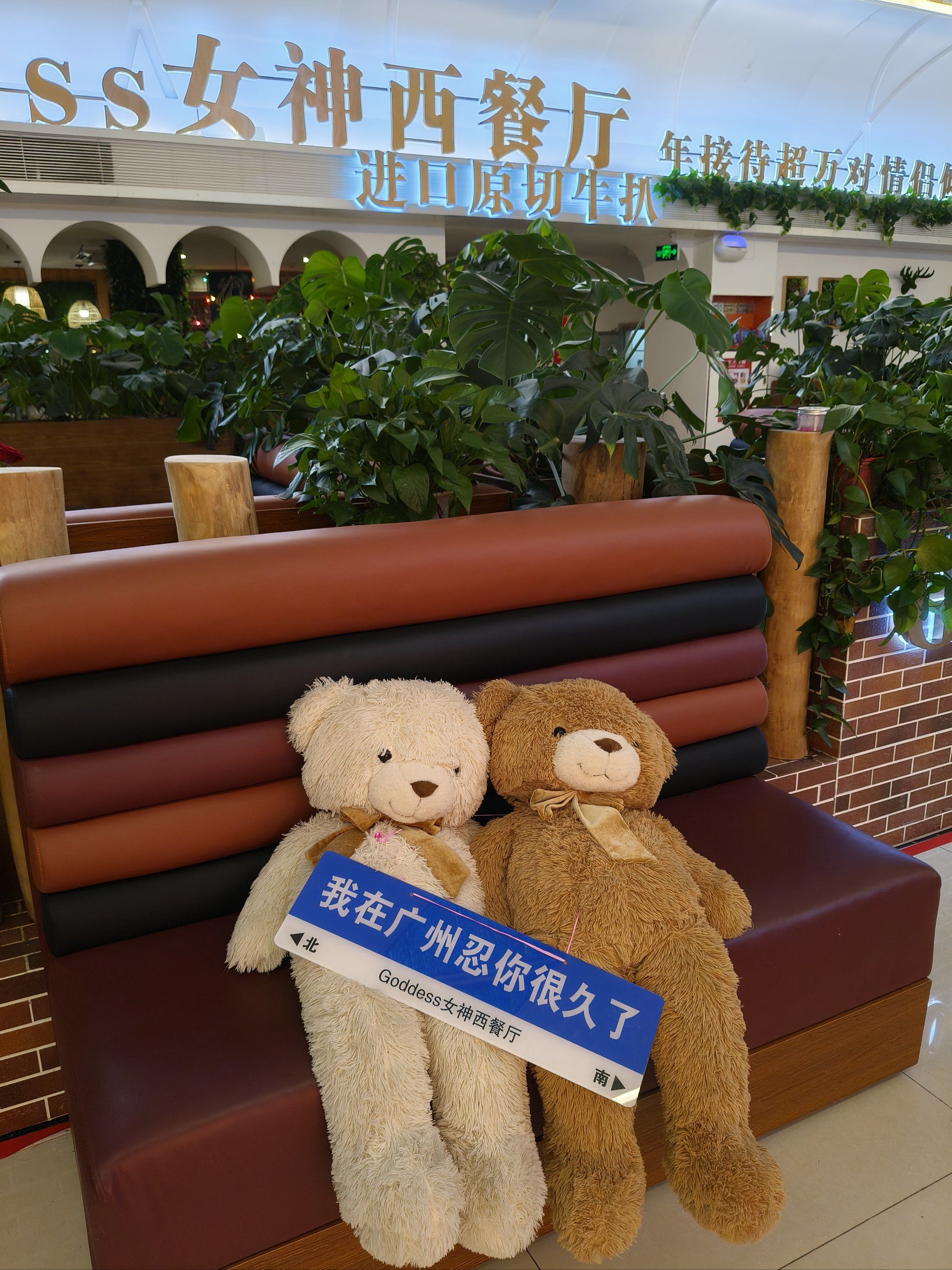 女神来了,能和小熊来个大拥抱么?