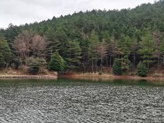 -四明山国家森林公园