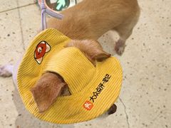 -瑞虹新天地月亮湾