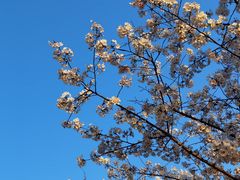 -新天地活力PARK