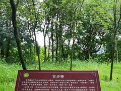 -白云山风景名胜区