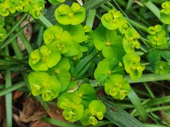 -南山风景名胜区