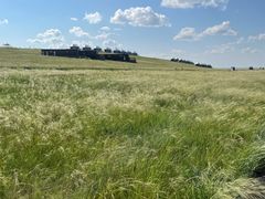 -呼和诺尔旅游景区