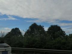 -爱达乐面包生日蛋糕(崇州金都汇店)