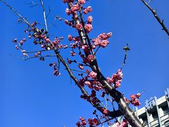 -杭州口腔医院(城西院区)