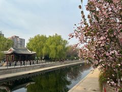 -元大都城垣遗址公园