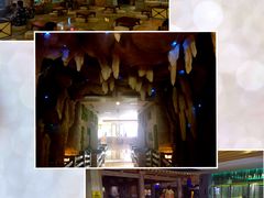 -御池园(顾村公园店)
