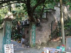 -南山植物园