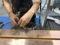 -瑞鹏宠物医院·骨科·猫科·内科(第一中心)