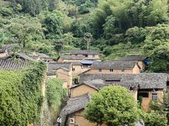 -杨家堂村