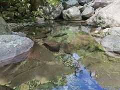 -安吉龙王山风景区