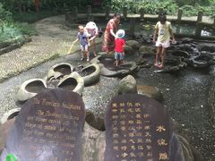 -成都市活水公园