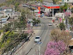 -桃源山庄·水蜜桃采摘·柴火鸡·烧烤团建(龙泉山店)