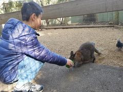 -费瑟代尔野生动物园